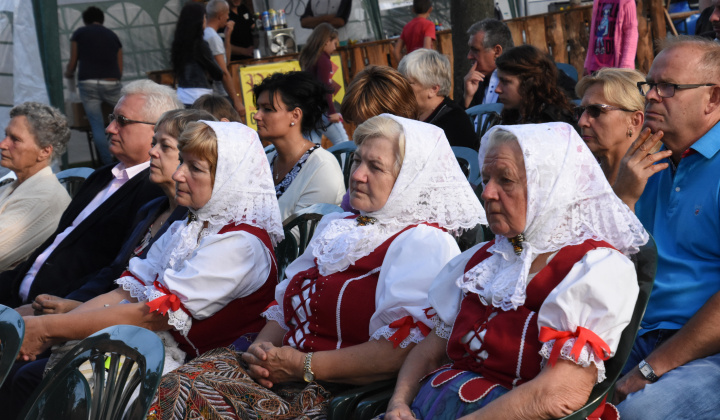 Putovný festival 2015