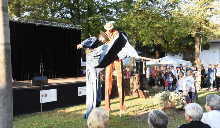 Putovný festival 2015