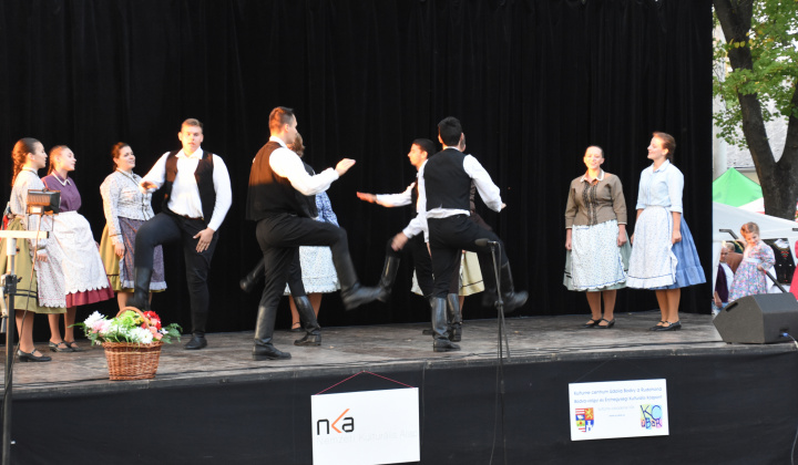 Putovný festival 2015