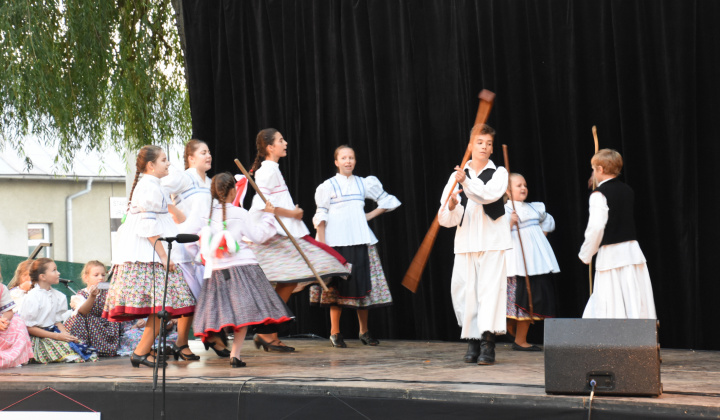 Putovný festival 2015