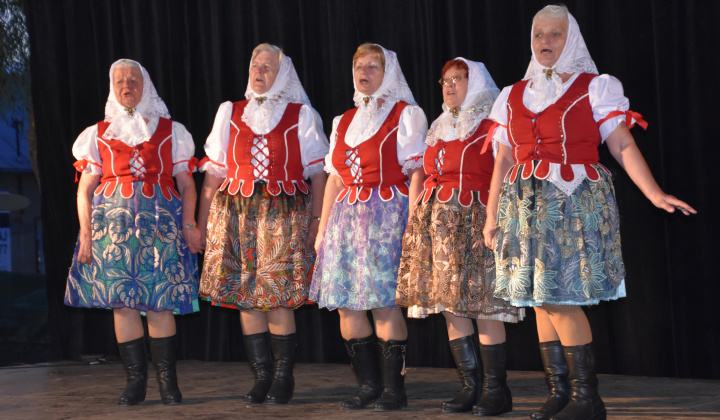 Putovný festival 2015