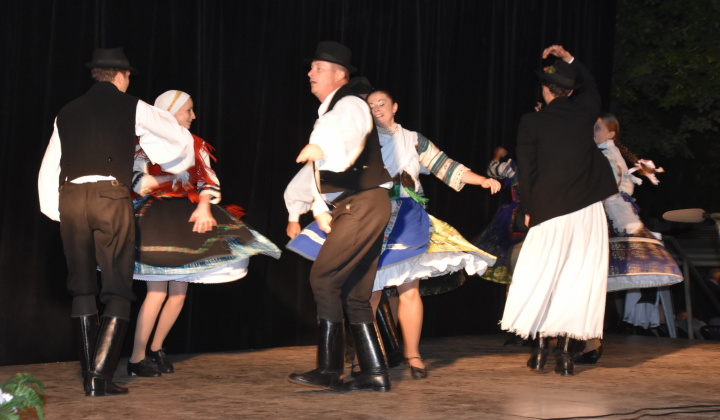 Putovný festival 2015
