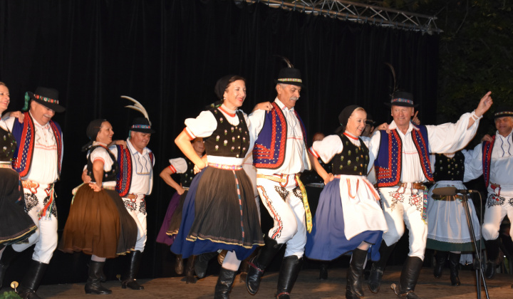 Putovný festival 2015