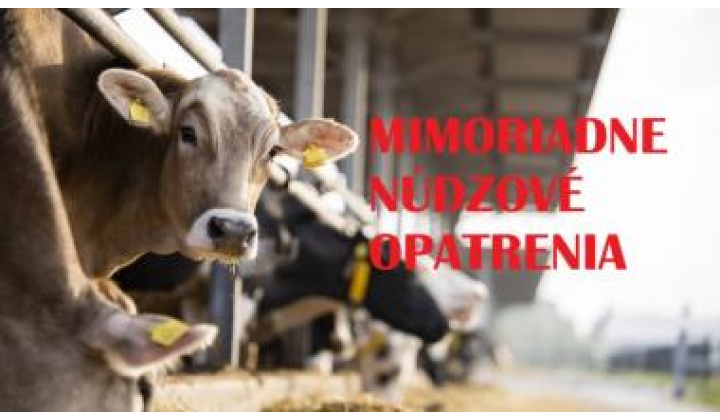 Mimoriadne núdzové opatrenia 